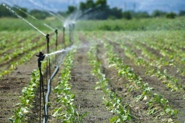Acqua, non è ancora emergenza ma c’è bisogno di un surplus di irrigazione