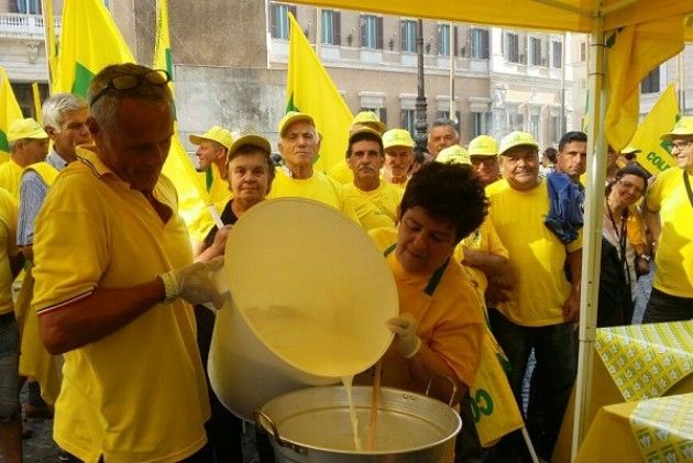 UE. Proroga ‘Ultimatum’ sul formaggio senza latte