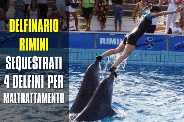 Associazione Essere Animali, azione per la chiusura del Delfinario di Rimini