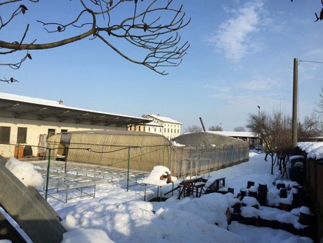 Spiedo sotto le stelle per ricostruire la serra di Agropolis di Cremona