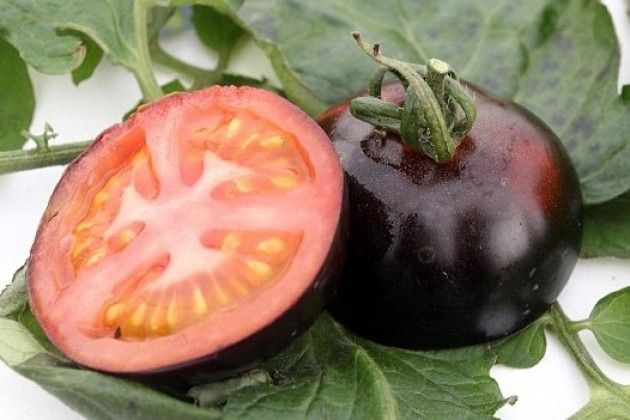 Ambiente, AICS: pomodoro Sun Black nei nostri Circoli, contro la scorciatoia ogm