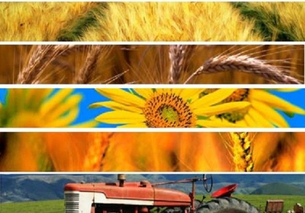 Flash dall’agroalimentare nazionale e internazionale del 24 luglio 2015