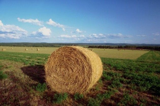 Coldiretti, prima rete di oasi agricole in autostrada