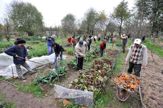 Nuovi orti urbani a Cremona Progetti e manutenzioni: le azioni del Comune nei quartieri