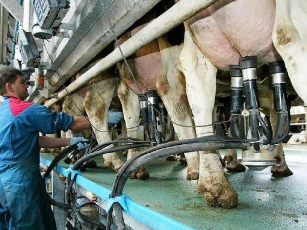 Latte Coldiretti Made in Italy è ostaggio multinazionale straniera