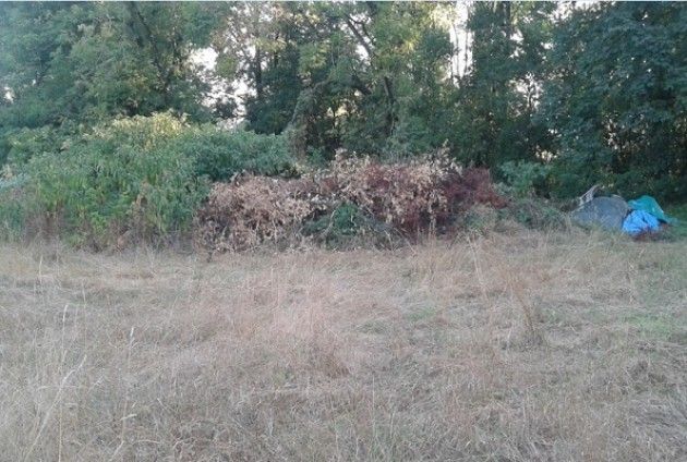 Una montagna di rifiuti in un’area sulle passeggiate al Po di fronte alla MAC di Cremona