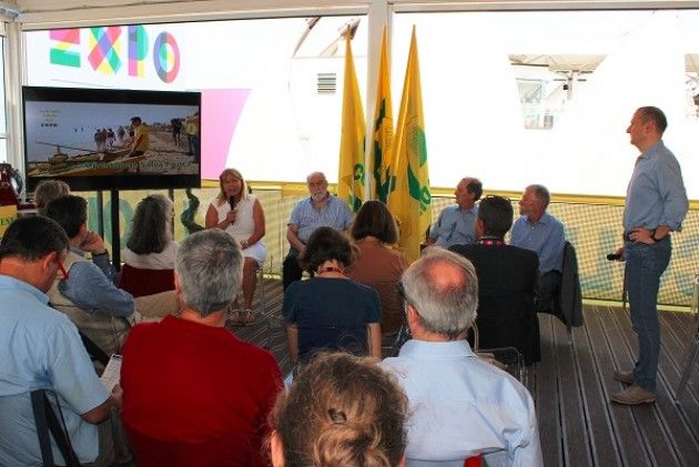 Expo, la classifica delle minacce aliene: dalla Popillia Japonica al pesce siluro