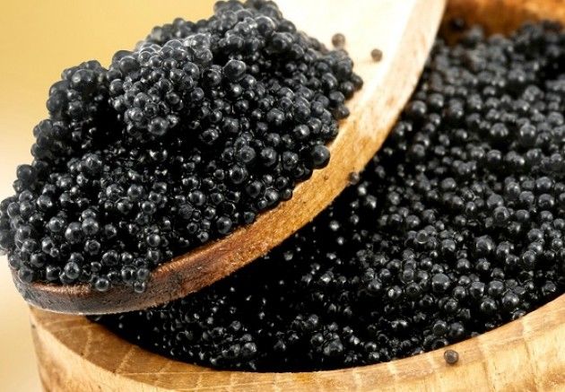 Expo Il nostro caviale Lombardo nasce nelle fredde e pulite acque sorgive di Pandino, nel Cremonese