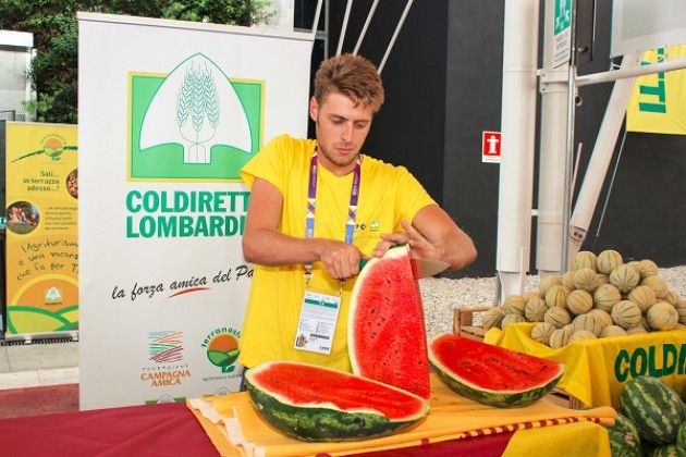 Estate, 40 milioni di fette d’anguria e boom delle “mini” a misura di single