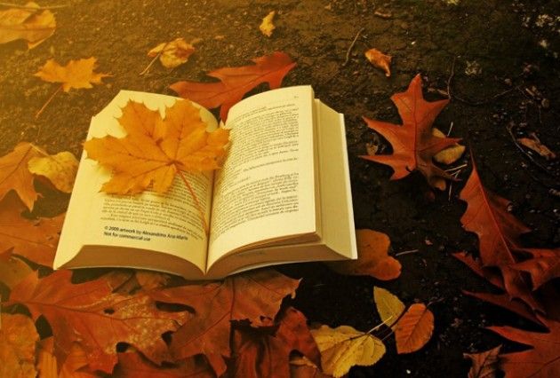 Varese, presentata 'Passeggiata dell'amore' e concorso poesie 'Scrivi l’amore'