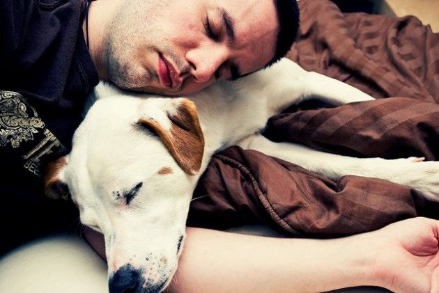Al via a Cremona il corso per ottenere il ‘patentino’ per i proprietari di cani
