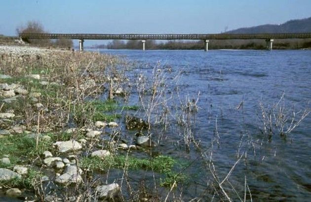 Si amplia tra Cremona, Piacenza e Lodi l’alleanza per il rilancio del Po