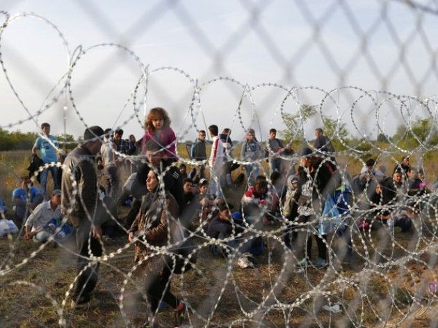 Amnesty denuncia oltre 1000 rifugiati bloccati nella 'terra di nessuno' tra Serbia-Ungheria