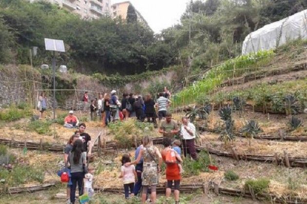 Lampedusa Assegnati i primi orti comunitari