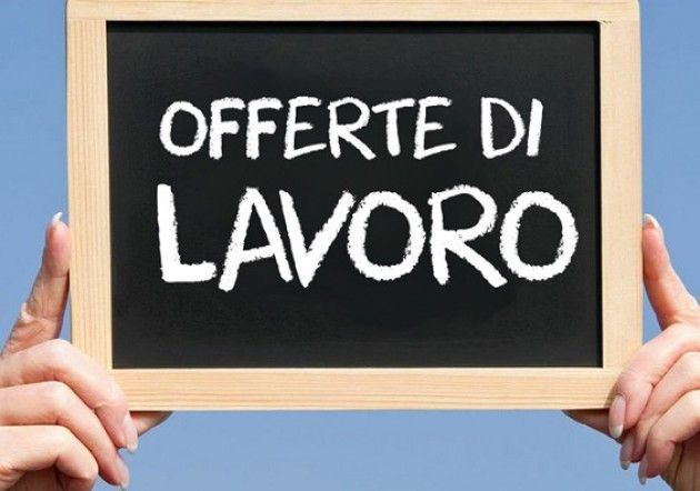 Le offerte di lavoro proposte Informagiovani Cremona  22 settembre 2015