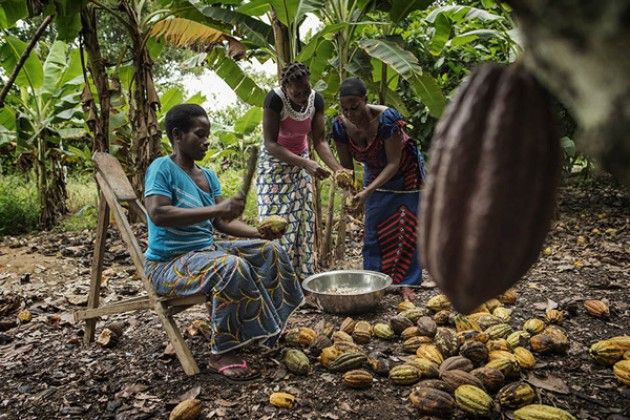 Progetto di imprenditoria femminile in Costa d'Avorio promossa dalla Luigi Zaini spa