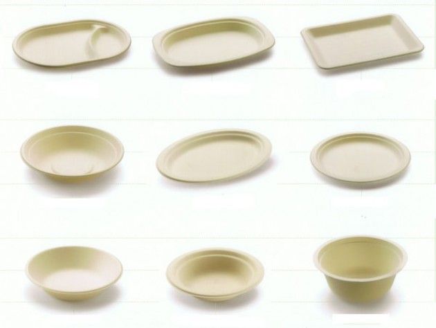 Milano, piatti bio anche scuole secondarie, risparmio 1.000 chili di plastica la settimana