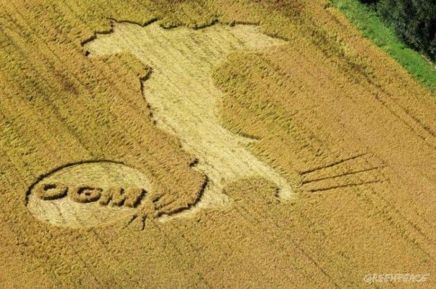 NO agli Ogm in ITALIA Soddisfatto il Comitato Scientifico EQUIVITA