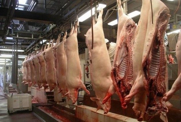 Lombardia, no a scalate ostili su macello Opas Prandini: Servono progetti condivisi da tutti
