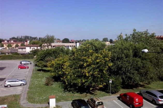 Sei progetti per alloggi ERP a Cremona ammessi a finanziamento di 4 milioni di €