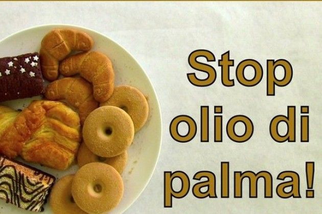 AICS Ambiente: ‘L’olio di palma invade ancora colazione e snack’