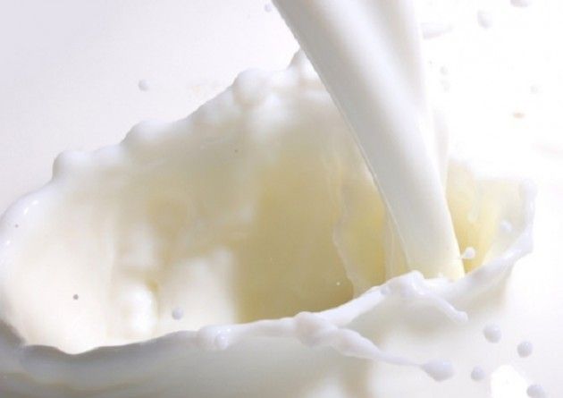 Cremona Allevamento da latte ‘organic’: un trend in continua crescita e una nuova opportunità per gli allevatori italiani.