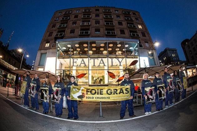 Essere Animali, flashmob animalista da Eataly per dire stop al foie gras