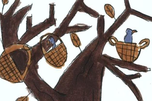 Pomeriggio ‘verde’ in provincia di Cremona, a Madignano ‘SeMiLiberi... In autunno’