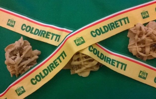 Expo Coldiretti   No ai grilli fritti e SI al super panino ‘Doc’ da tre metri