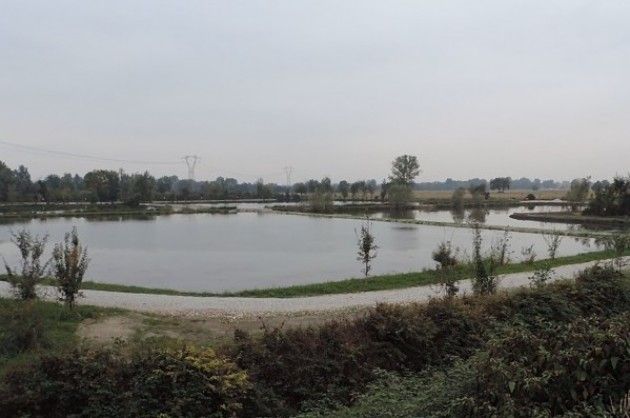 Polo di Tencara Forse di parte di Giorgio Albera (Cremona)
