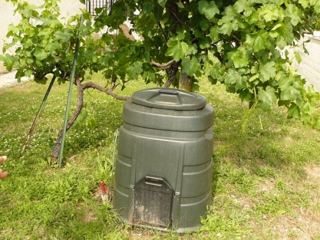 A Cremona ‘le foglie morte’ saranno raccolte  ripristinando per tutto l’inverno il servizio porta a porta ?