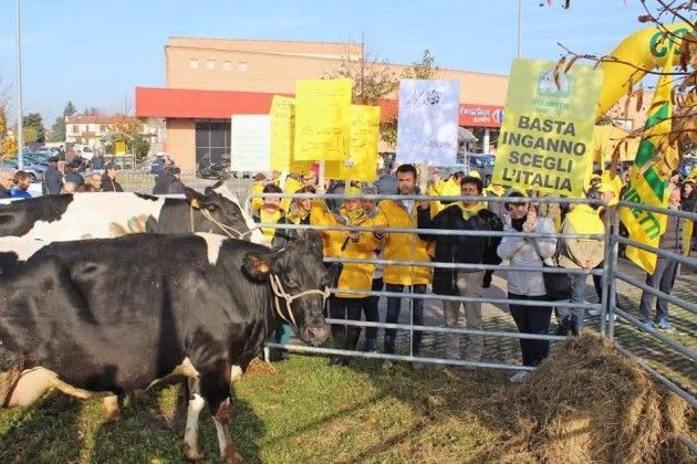Latte, Coldiretti: ‘Dalla stalla allo scaffale, il prezzo moltiplica per quattro’