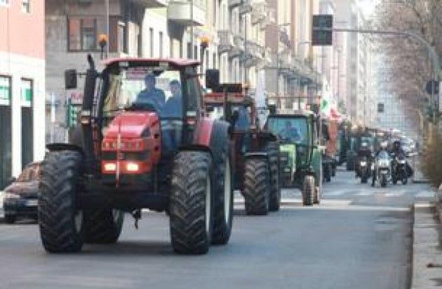 Osservatorio Agri&Food di CremonaFiere n.70 dell’11 novembre 2015