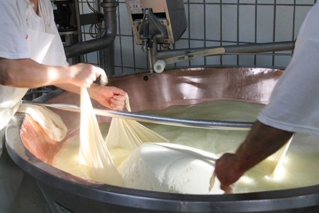Vezzini in visita all’azienda Pozzali Lodigrana di Casaletto Ceredano e Trescore Cremasco.