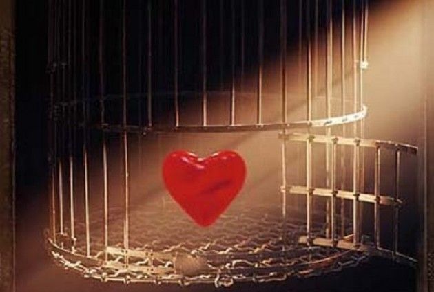 Amore tra le sbarre: audizione in videoconferenza  in Parlamento