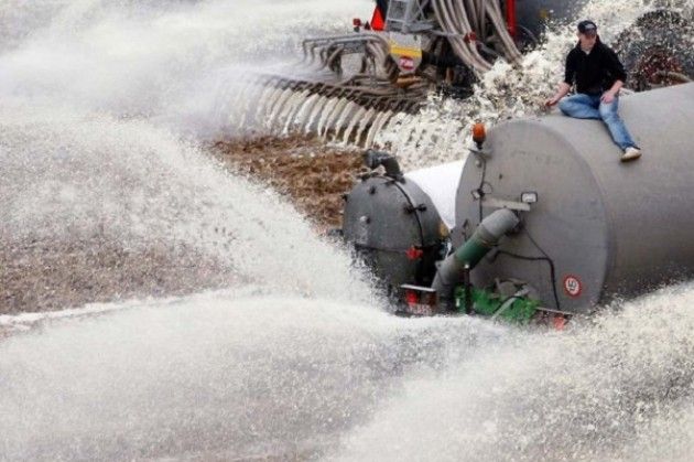 M5S: solidarietà agli agricoltori che stanno lottando per difendere l'eccellenza cremonese del latte.