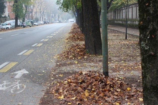 Ritiro del verde porta a porta prosegue fino al 5 dicembre