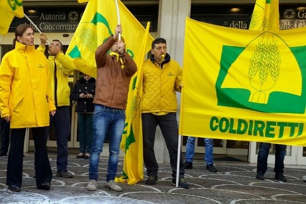 Latte, Coldiretti: ‘Un terzo del mercato italiano in mano alla francese Lactalis’