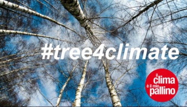  La Festa dell'albero mercoledì prossimo a Cremona. Alla media ‘Virgilio’ le piante in memoria di Lorenzo Corioni