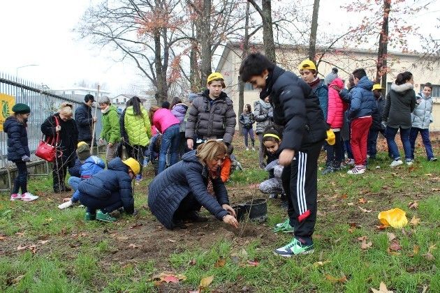 Festa dell’albero alla scuola media Virgilio, Cremona ricorda Lorenzo Corioni