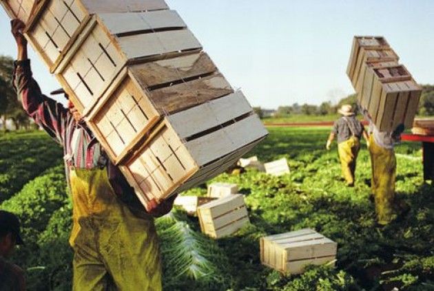 OSSERVATORIO AGRI&FOOD DI CREMONAFIERE del 25/11/2015