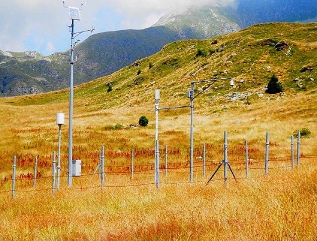 Clima, Lombardia +1,5 gradi in dieci anni: parassiti 'traslocano' da spiagge ad alpeggi