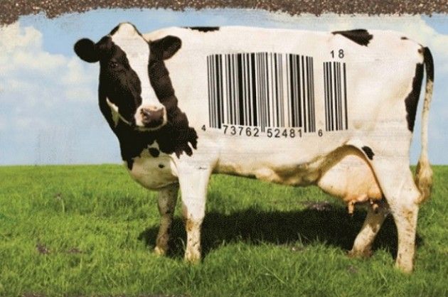 TERRA e LIBERTÀ: diritti, ambiente, salute ai tempi della globalizzazione. Film  all’ARCI di Cremona