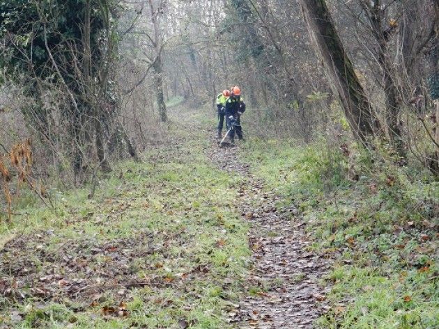 Parco Adda Sud, blitz al Belgiardino: mini ostelli per insetti e percorso ripulito