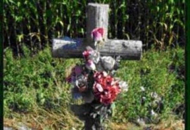 Anpi Cremona Commovente cerimonia alla Col di Lana in ricordo dei militari caduti l’8 settembre