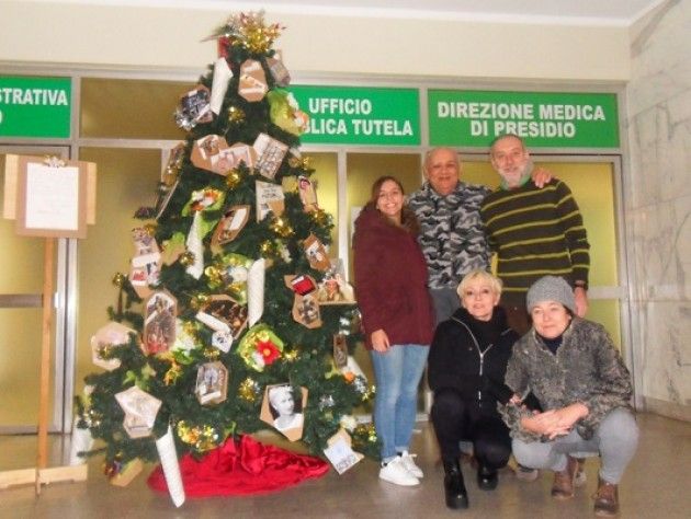 Ospedale di Cremona . Un albero, tante storie