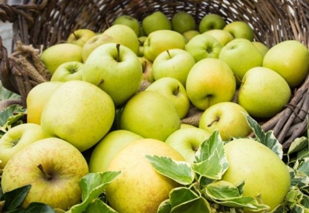 Milano, 11 dicembre: mostra di Natale delle mele con i tutor del gusto della Valtellina