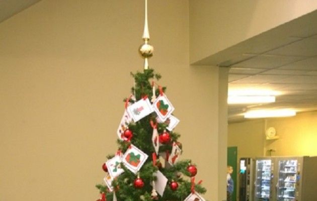 Casalmaggiore A Oglio Po, un albero speciale fatto dai bambini