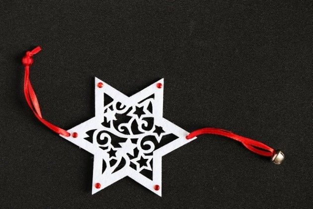 Scegli la Stella di Natale AISM. Sostieni la lotta alla sclerosi multipla