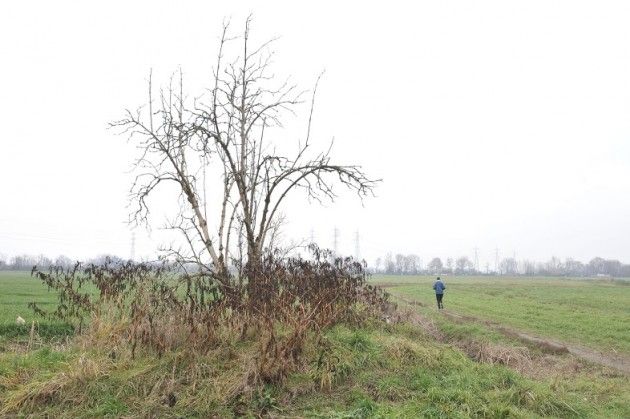 Agricoltura Milano regala ai suoi cittadini un milione di mq di aree rurali